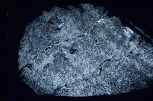 Cross Polarized, S89753