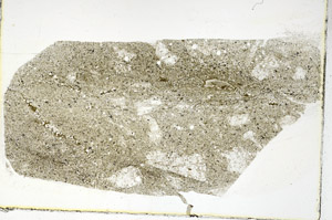 Plane Polarized, S89757