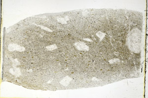 Plane Polarized, S89758