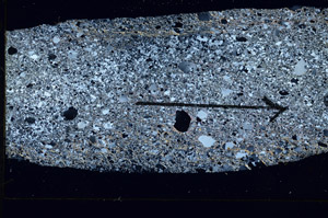 Cross Polarized, S89759