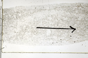 Plane Polarized, S89759