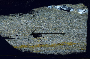 Cross Polarized, S89762
