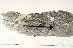 Plane Polarized, S89763