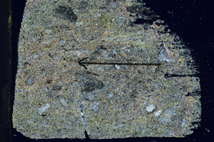 Cross Polarized, S89765