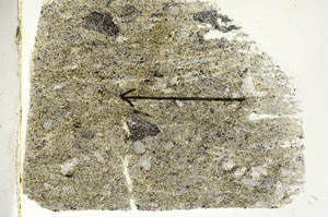 Plane Polarized, S89765