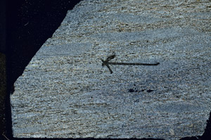 Cross Polarized, S89767