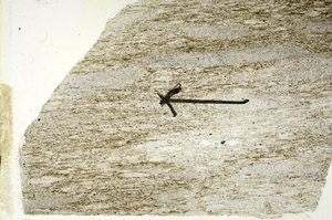 Plane Polarized, S89767