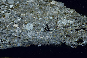 Cross Polarized, S89768