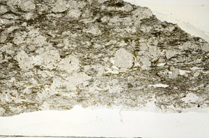 Plane Polarized, S89768