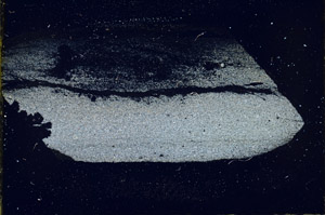 Cross Polarized, S89770