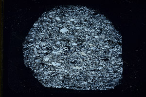 Cross Polarized, S89773