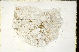 Plane Polarized, S89774