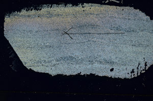 Cross Polarized, S89775