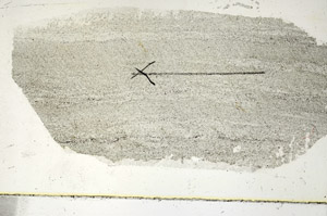 Plane Polarized, S89775