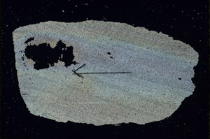 Cross Polarized, S89776