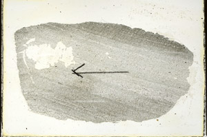 Plane Polarized, S89776