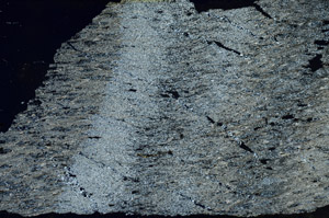 Cross Polarized, S89778