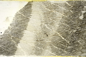 Plane Polarized, S89778