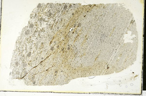 Plane Polarized, S89779