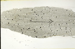 Plane Polarized, S89780