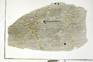 Plane Polarized, S89781