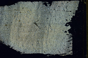 Cross Polarized, S89783