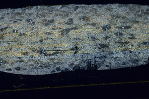 Cross Polarized, S89784
