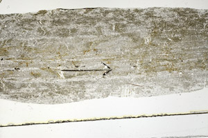 Plane Polarized, S89784