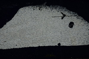 Cross Polarized, S89785