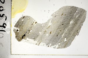 Plane Polarized, S89786