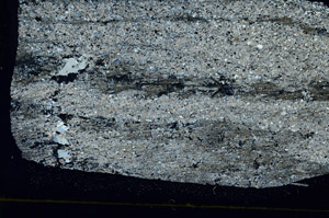 Cross Polarized, S89787