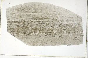 Plane Polarized, S89788