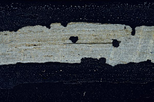 Cross Polarized, S89791
