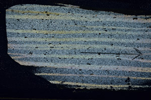 Cross Polarized, S89792