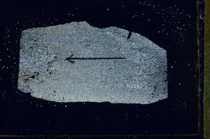 Cross Polarized, S89793