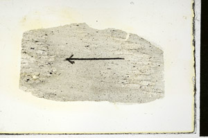 Plane Polarized, S89793