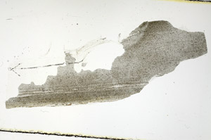 Plane Polarized, S89794
