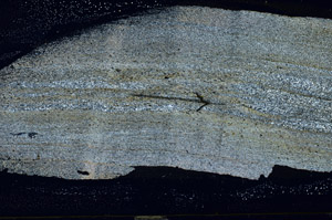Cross Polarized, S89795