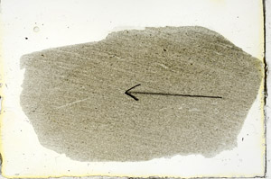 Plane Polarized, S89797