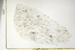 Plane Polarized, S89800