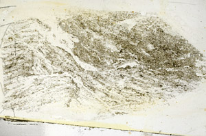 Plane Polarized, S89801