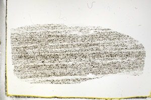 Plane Polarized, S89804