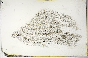 Plane Polarized, S89805