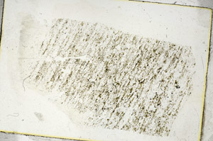 Plane Polarized, S89811