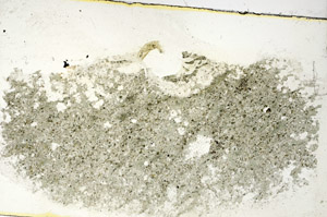 Plane Polarized, S89812