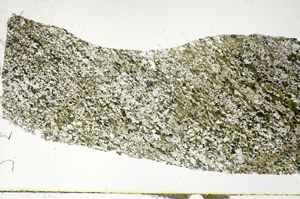 Plane Polarized, S89816