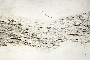 Plane Polarized, S89820