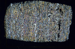 Cross Polarized, S89821