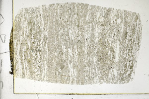 Plane Polarized, S89821