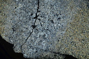 Cross Polarized, S89823